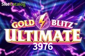 3976 App Interface
